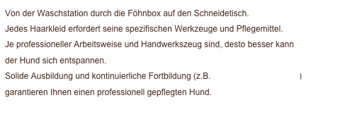 Von der Waschstation durch die Föhnbox auf den Schneidetisch. 
Jedes Haarkleid erfordert seine spezifischen Werkzeuge und Pflegemittel. 
Je professioneller Arbeitsweise und Handwerkszeug sind, desto besser kann 
der Hund sich entspannen. 
Solide Ausbildung und kontinuierliche Fortbildung (z.B. Hundeschnittschule.de)
garantieren Ihnen einen professionell gepflegten Hund.
